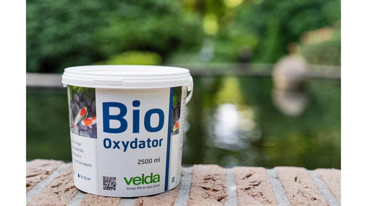 Bio-Oxydator 5000 ml - Velda
