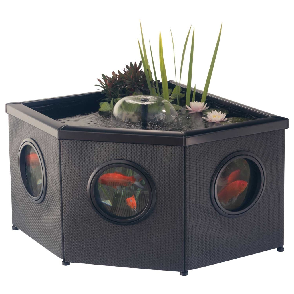 Raised Window Pond Corner Mocha – Bassin surélevé d'angle avec fenêtres panoramiques pour terrasse et jardin