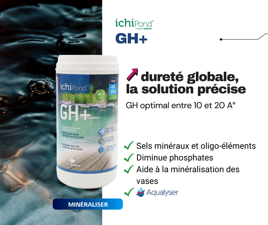 IchiPond Neo GH+ 1kg - Waterwetenschap 