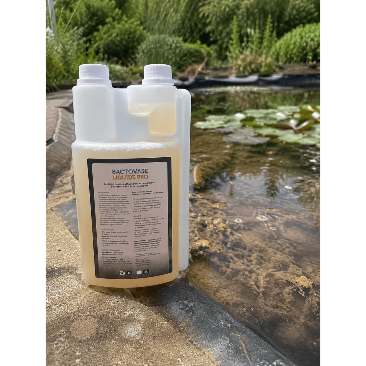 Aquipond Bactovase Liquide 5 L – Bactéries contre la vase organique du bassin