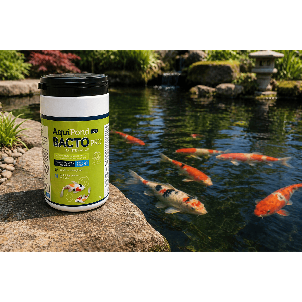 Aquipond Bacto Maintenance Pro 1 kg – Bactéries concentrées pour étang