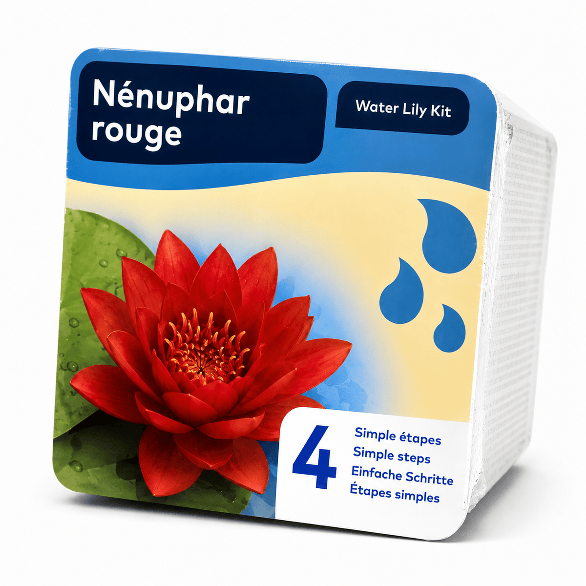 Aquipond Nénuphar rouge en kit sec – Nymphaea prêt à planter (panier inclus)