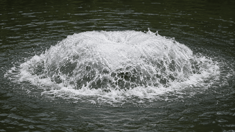 Oppervlaktebeluchter - Aquitechnics - Hoge prestaties voor natuurlijke vijver - Groene kleur