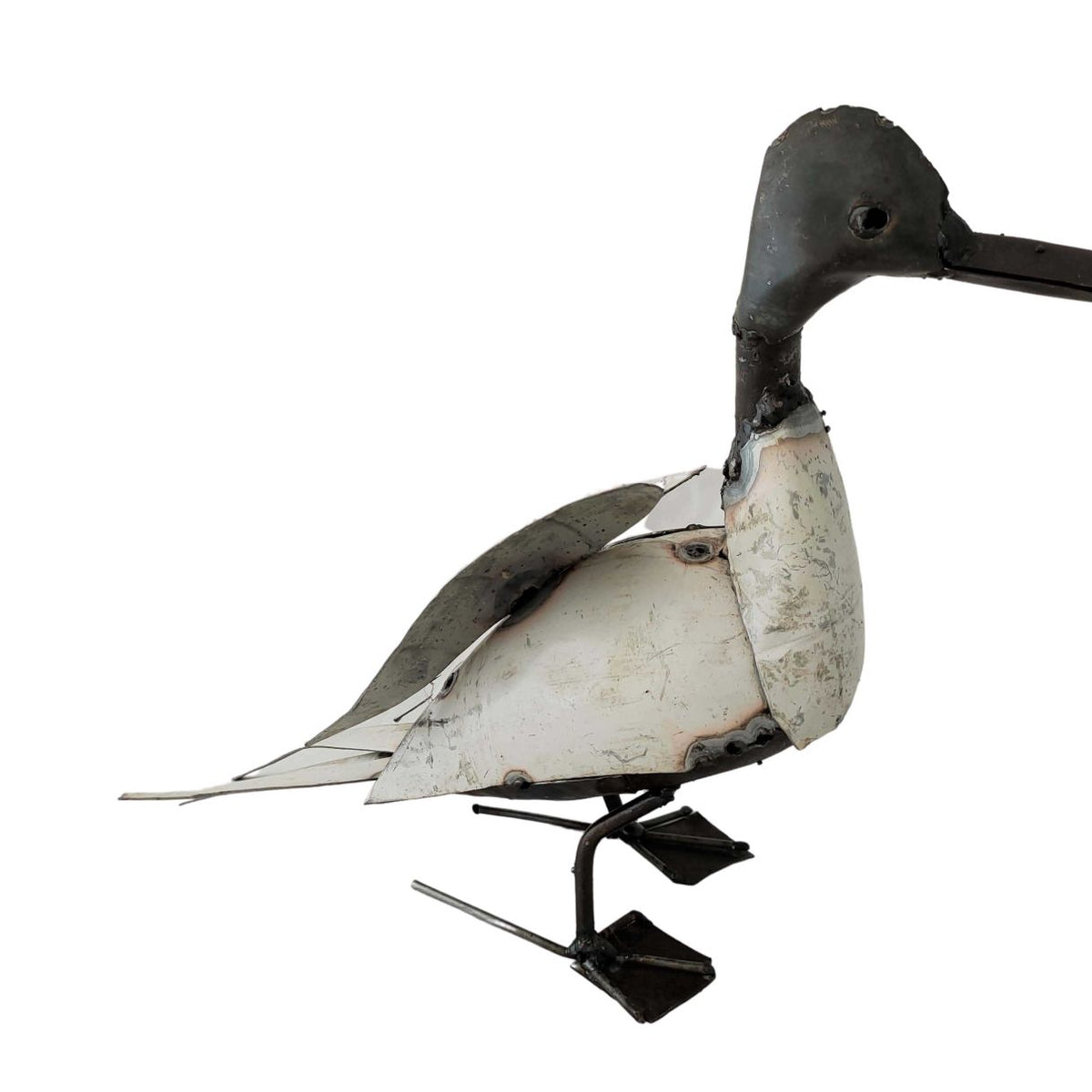 Canard blanc ailes ouvertes