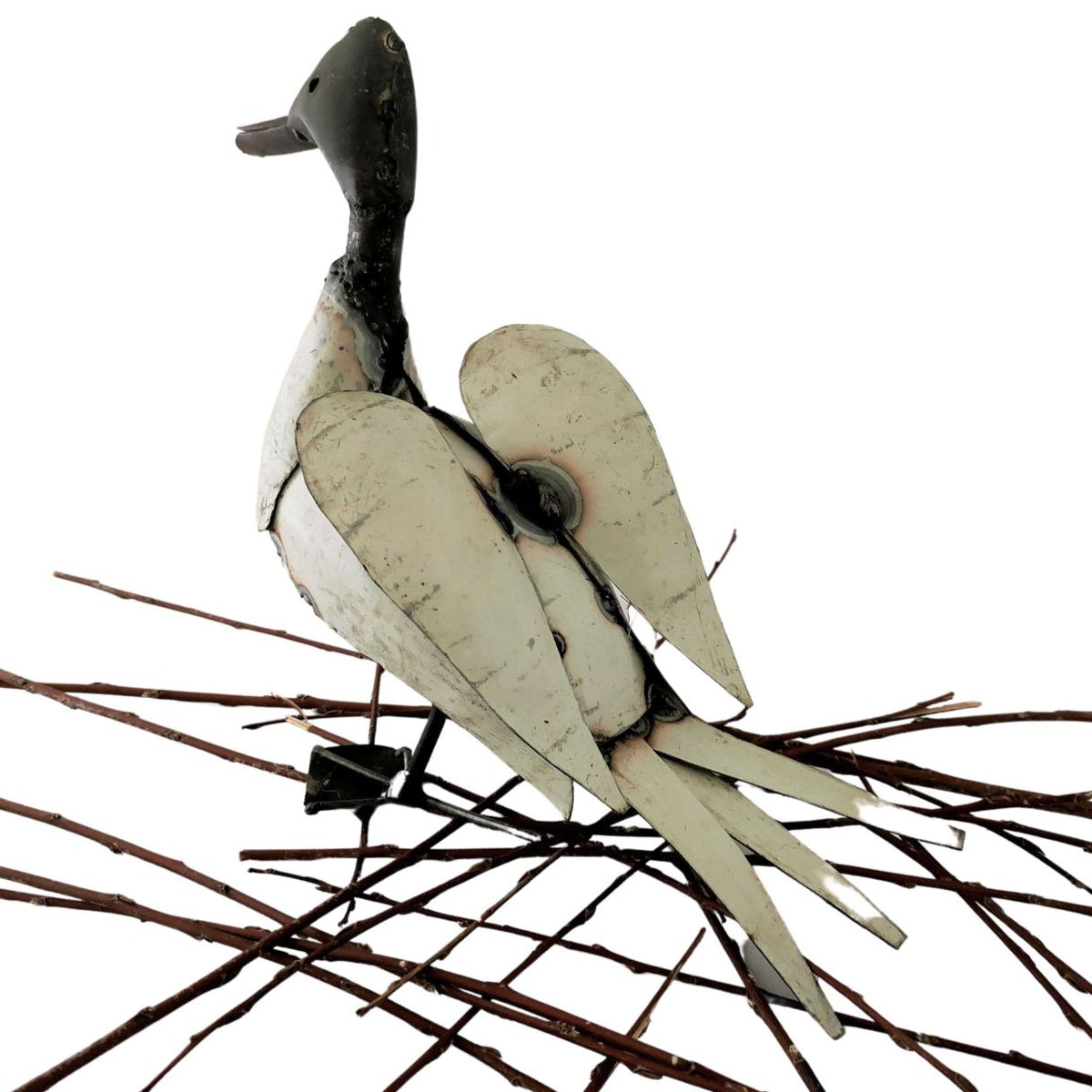 Canard blanc ailes ouvertes