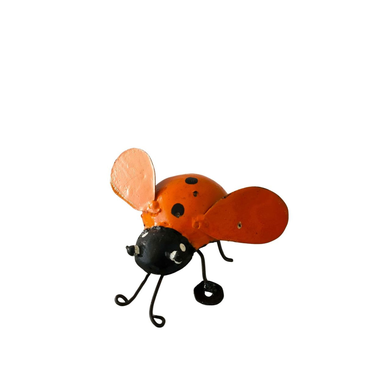Coccinelle orange