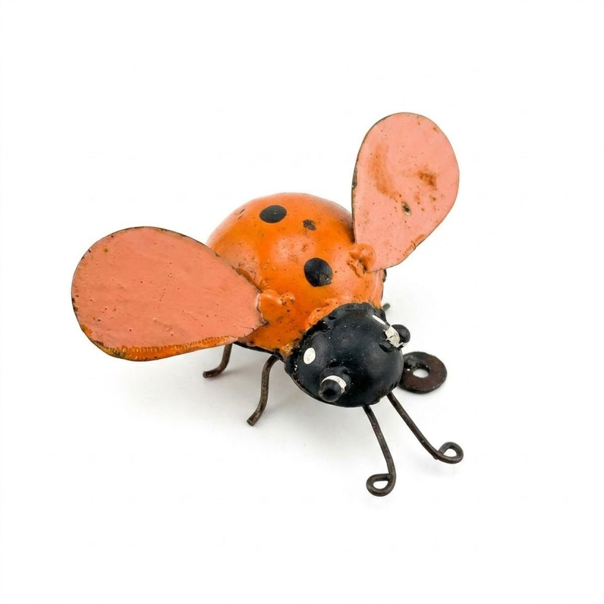 Coccinelle orange