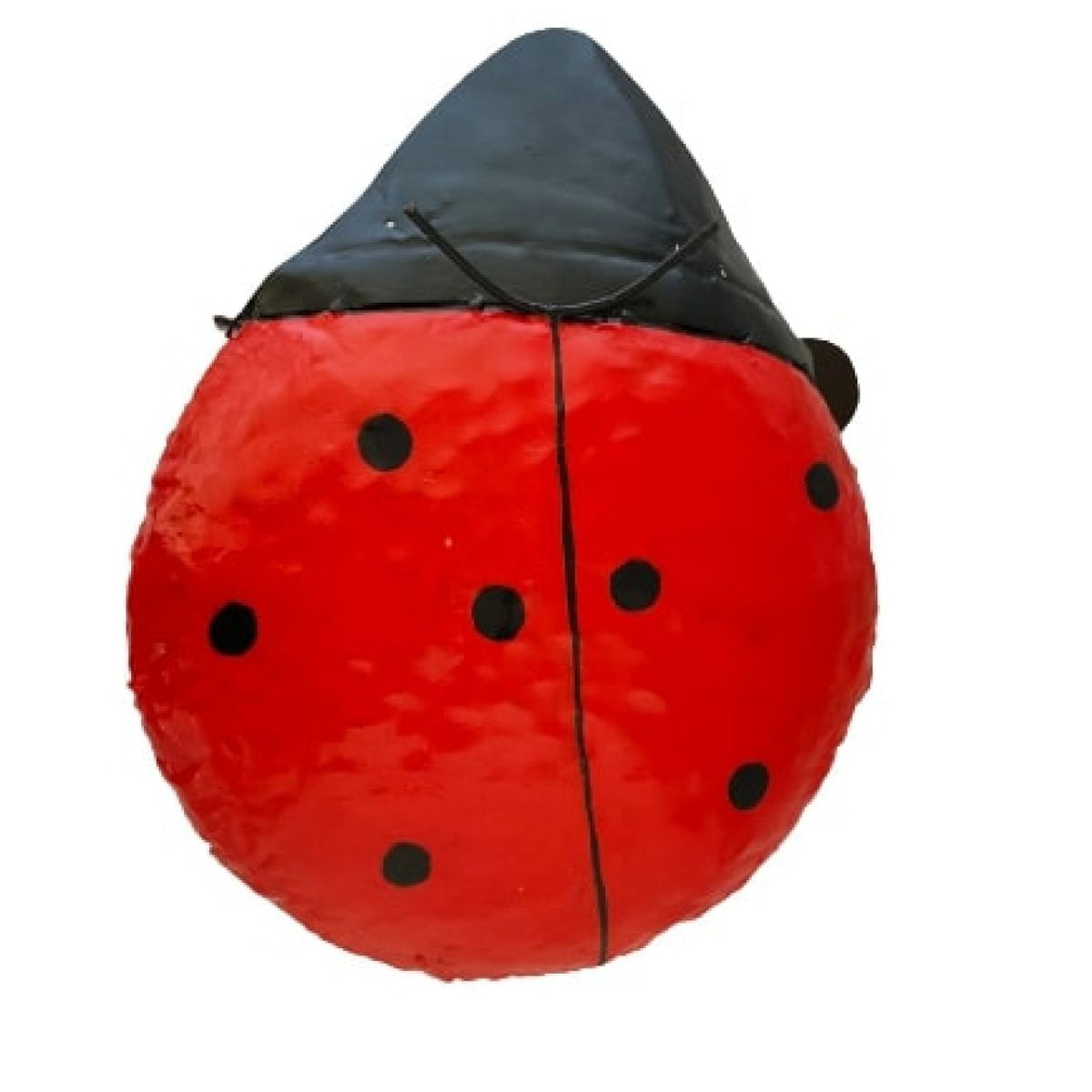 Coccinelle XXL