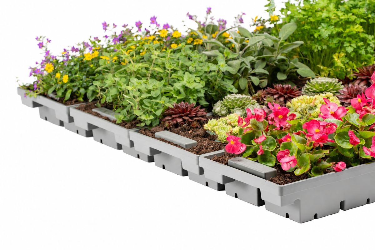 Plateau pour toit végétalisé du composteur Terragrow - Ecoo — vue sur fond blanc