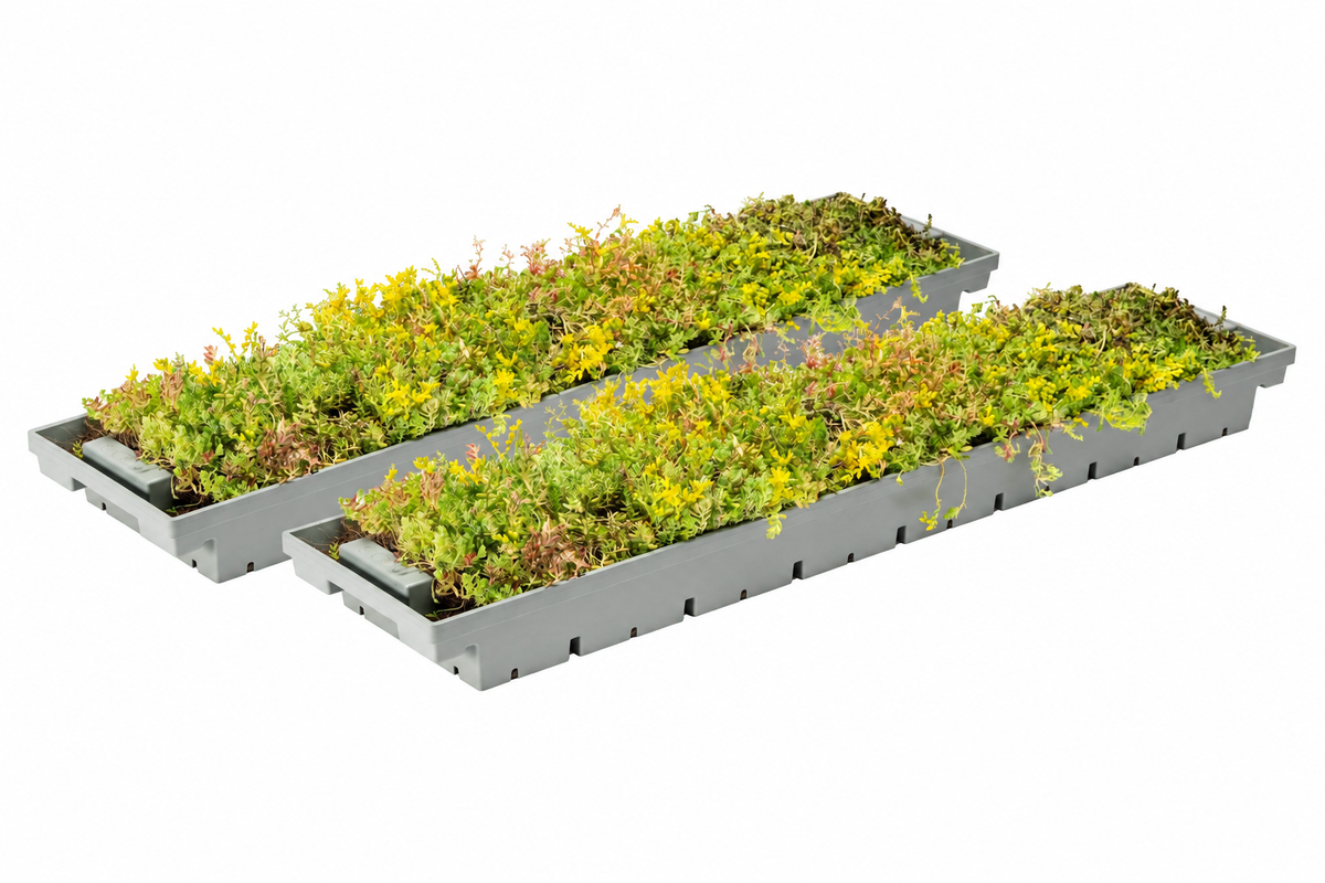 Plateau pour toit végétalisé du composteur Terragrow - Ecoo — vue sur fond blanc