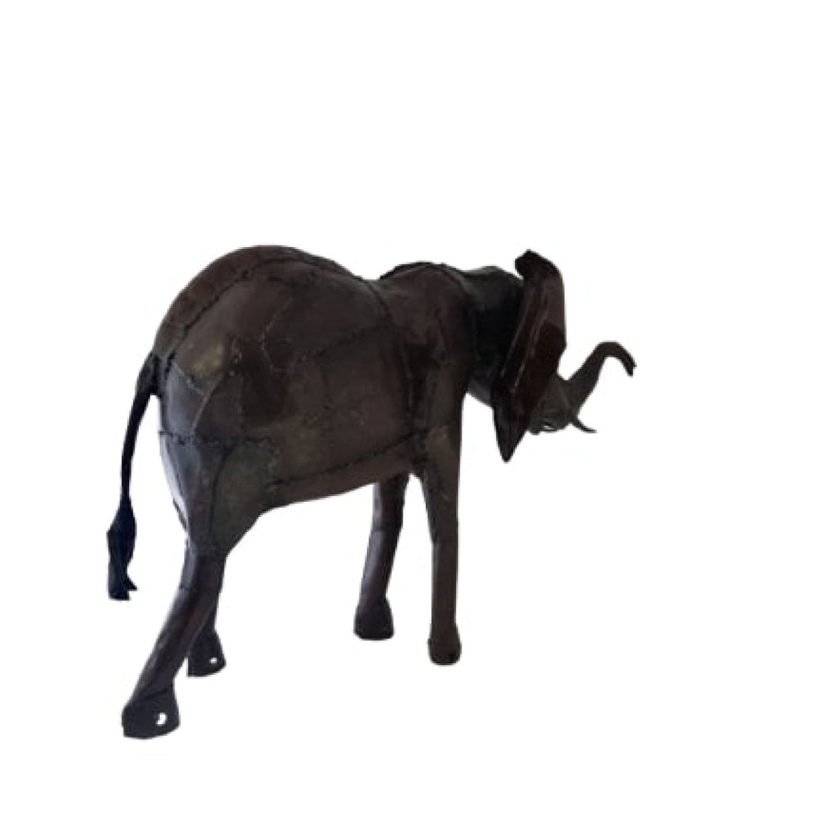 éléphant d'Afrique