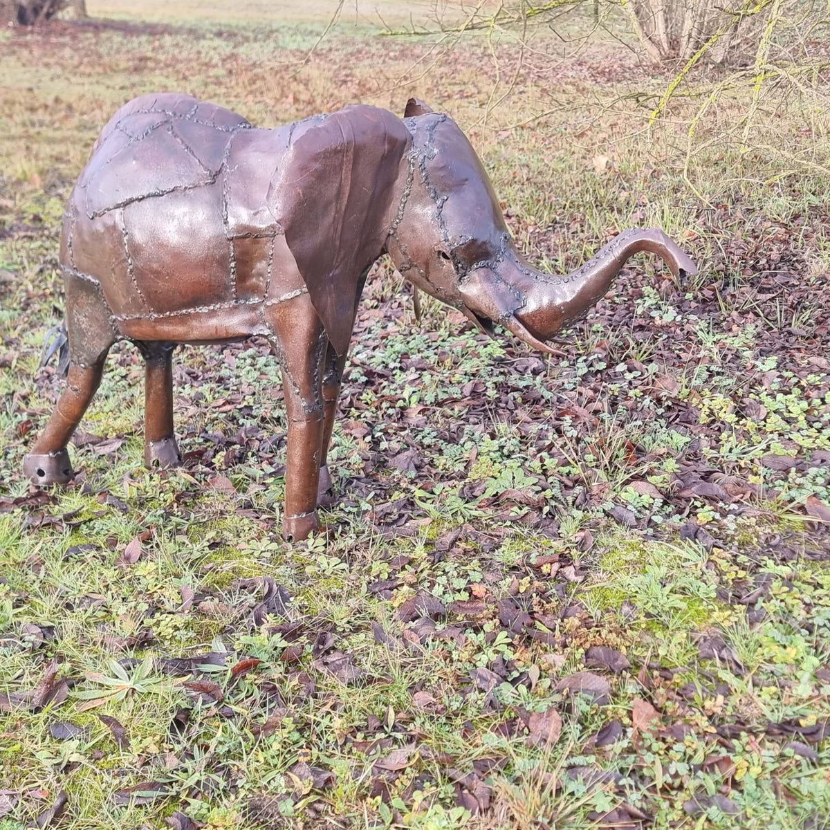 éléphant d'Afrique
