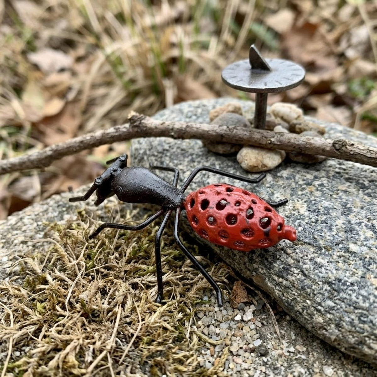 Fourmis grillage rouge 10cm