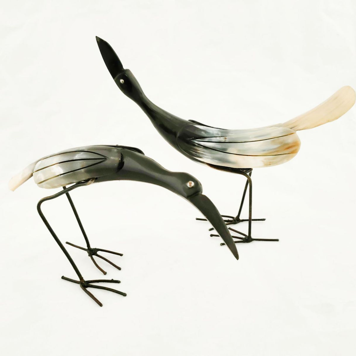 heron corne de vache 30/35cm