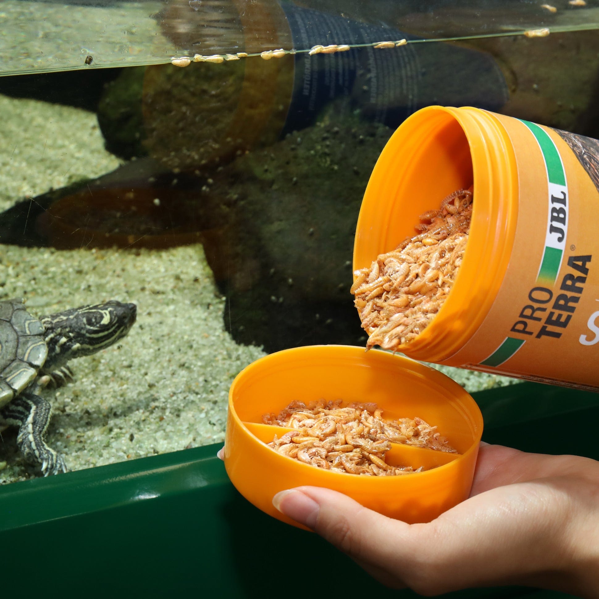 JBL ProTerra JBL Gammarus - Friandises à base de gammares pour toutes les tortues d’eau