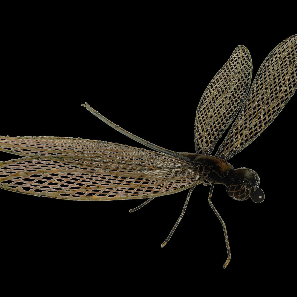 Libellule XXL ailes ajourées