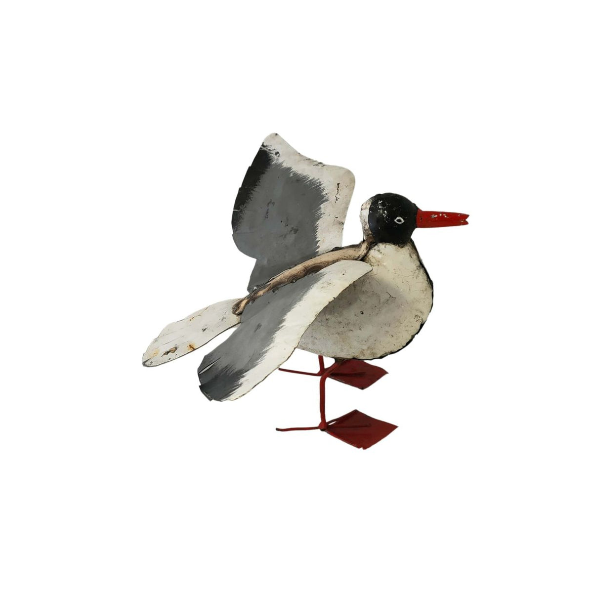 Mouette ailes ouvertes