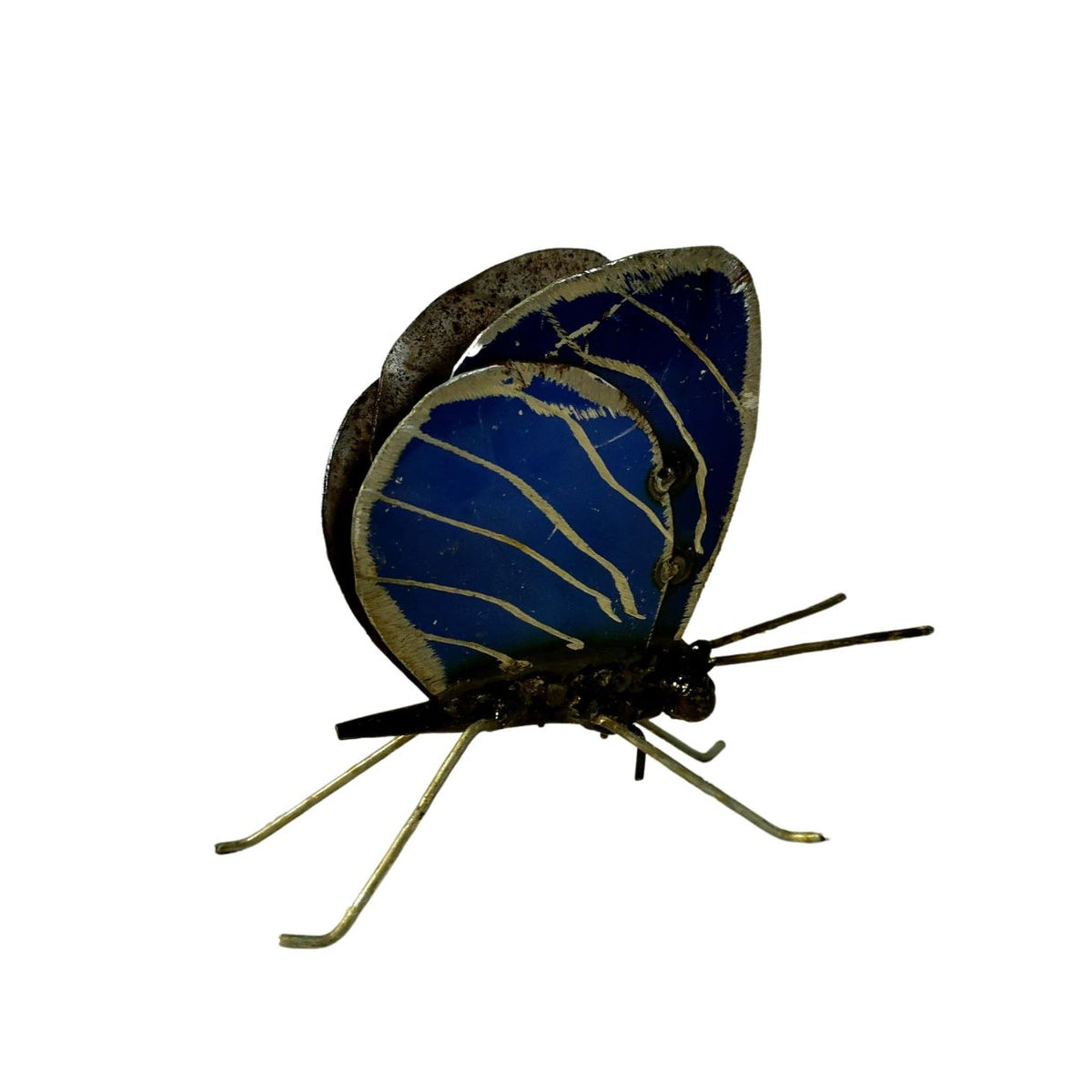 Papillon à poser bleu