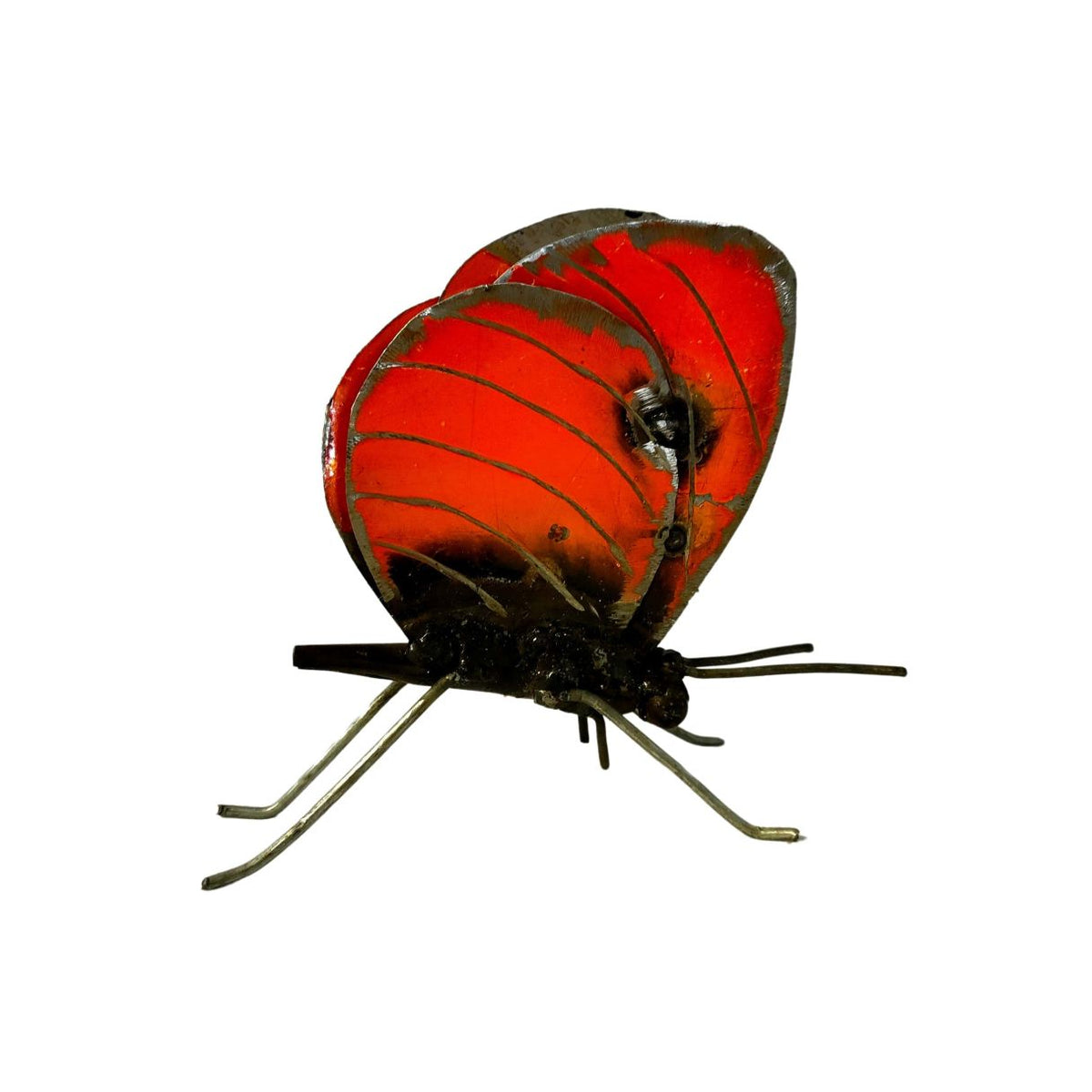 Papillon à poser orange