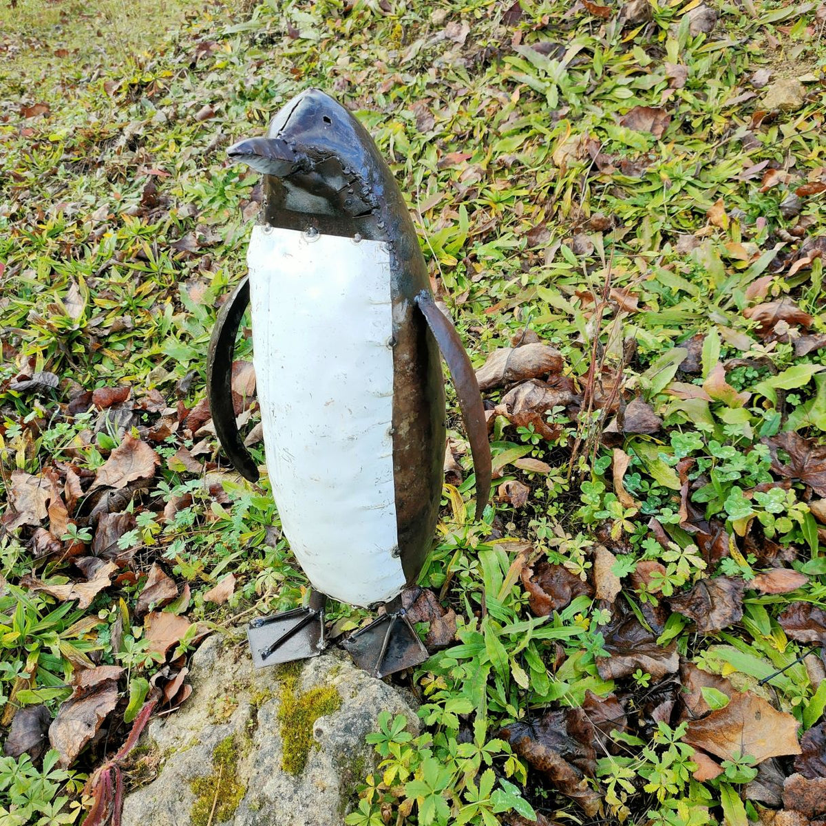 Pingouin 50cm