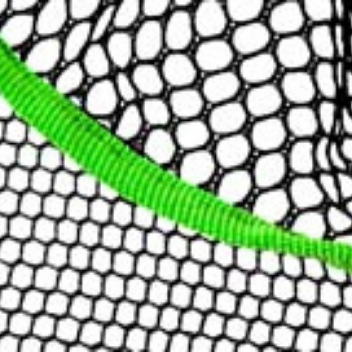 Épuisette fine Pond Net Daphnia carrée 35 cm avec manche - Velda