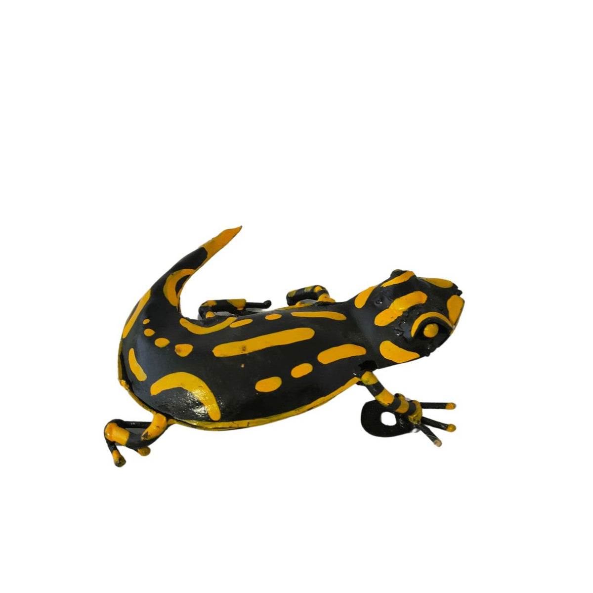 Salamandre jaune