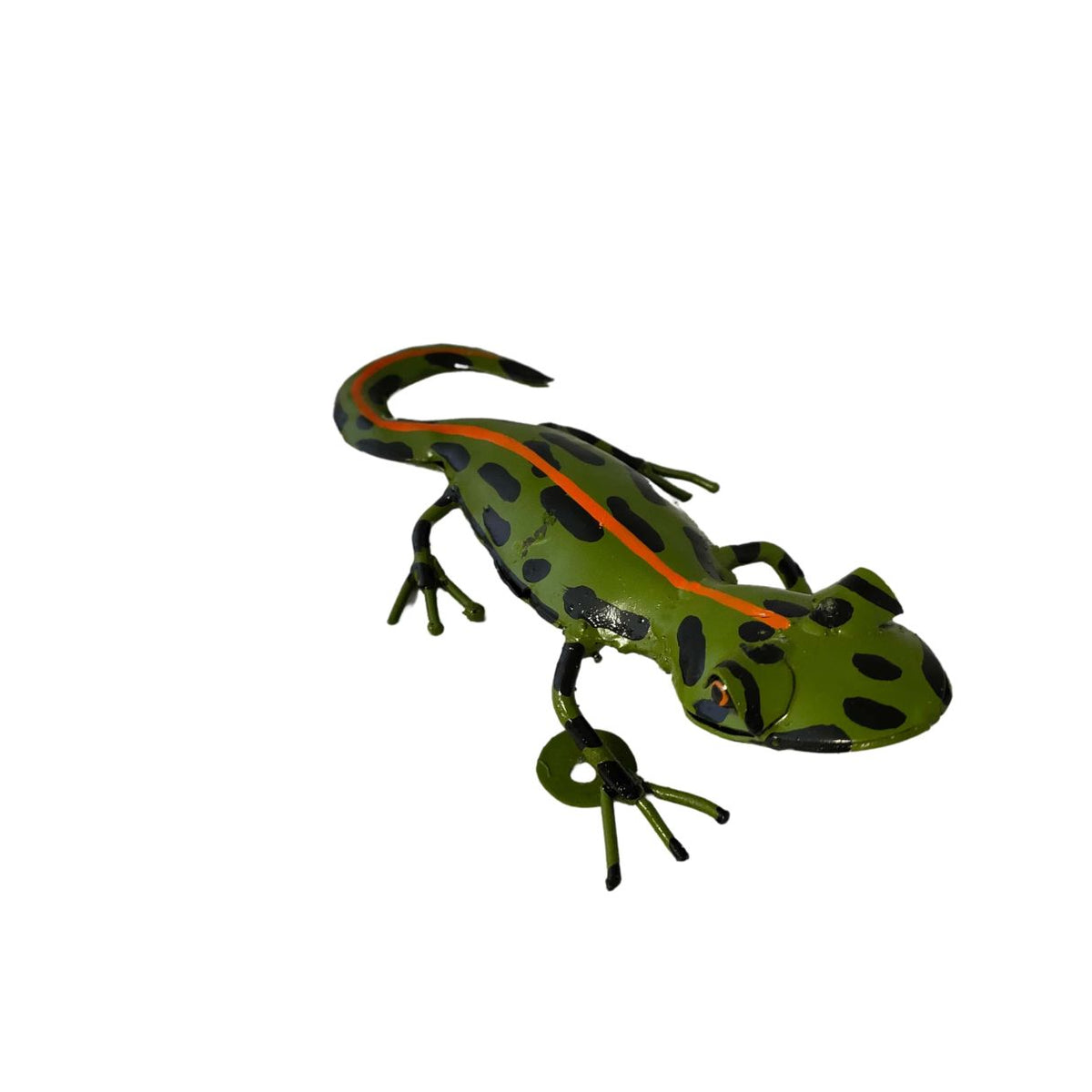 Salamandre verte