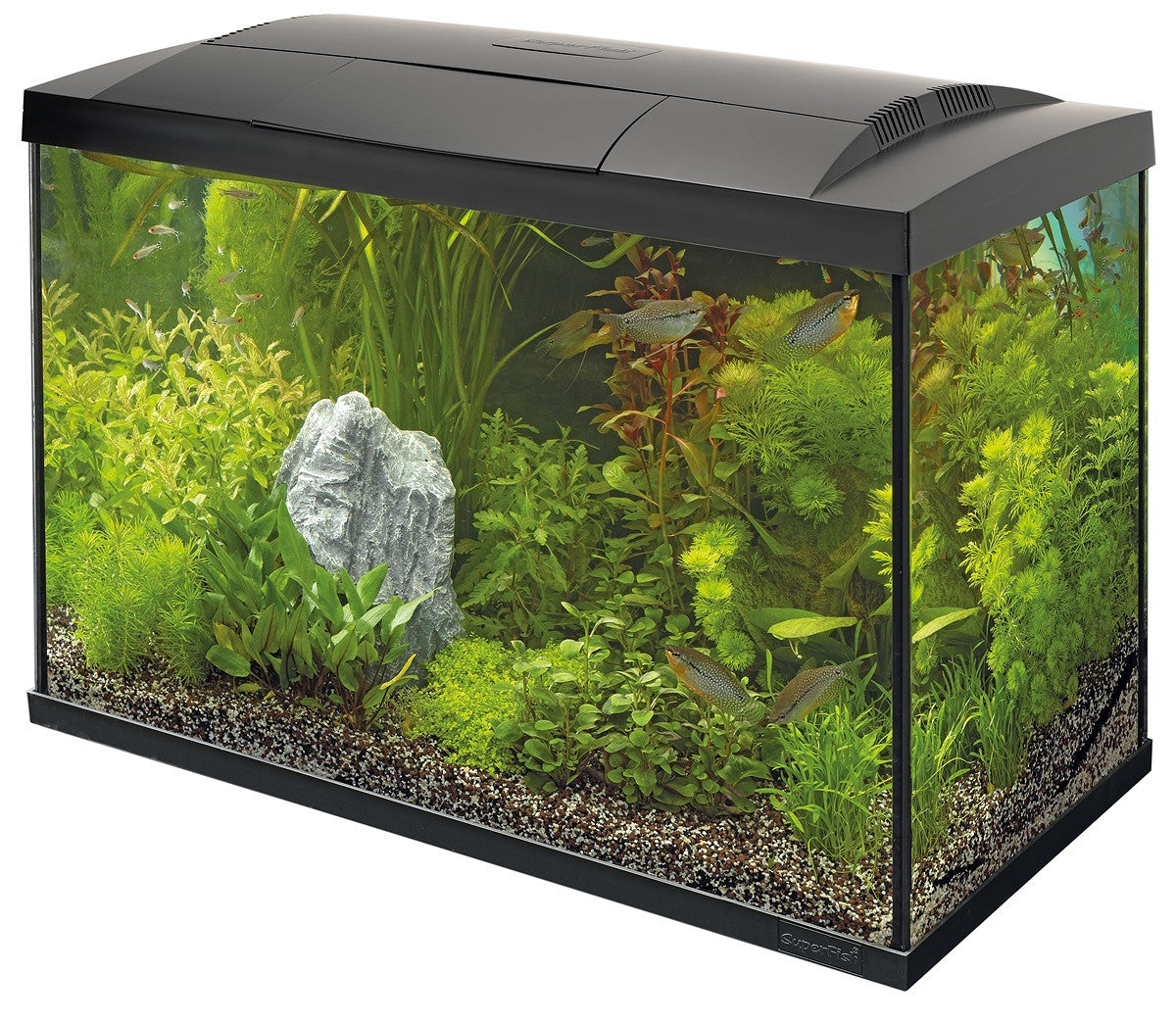 SuperFish START 70 60 L noir — aquarium