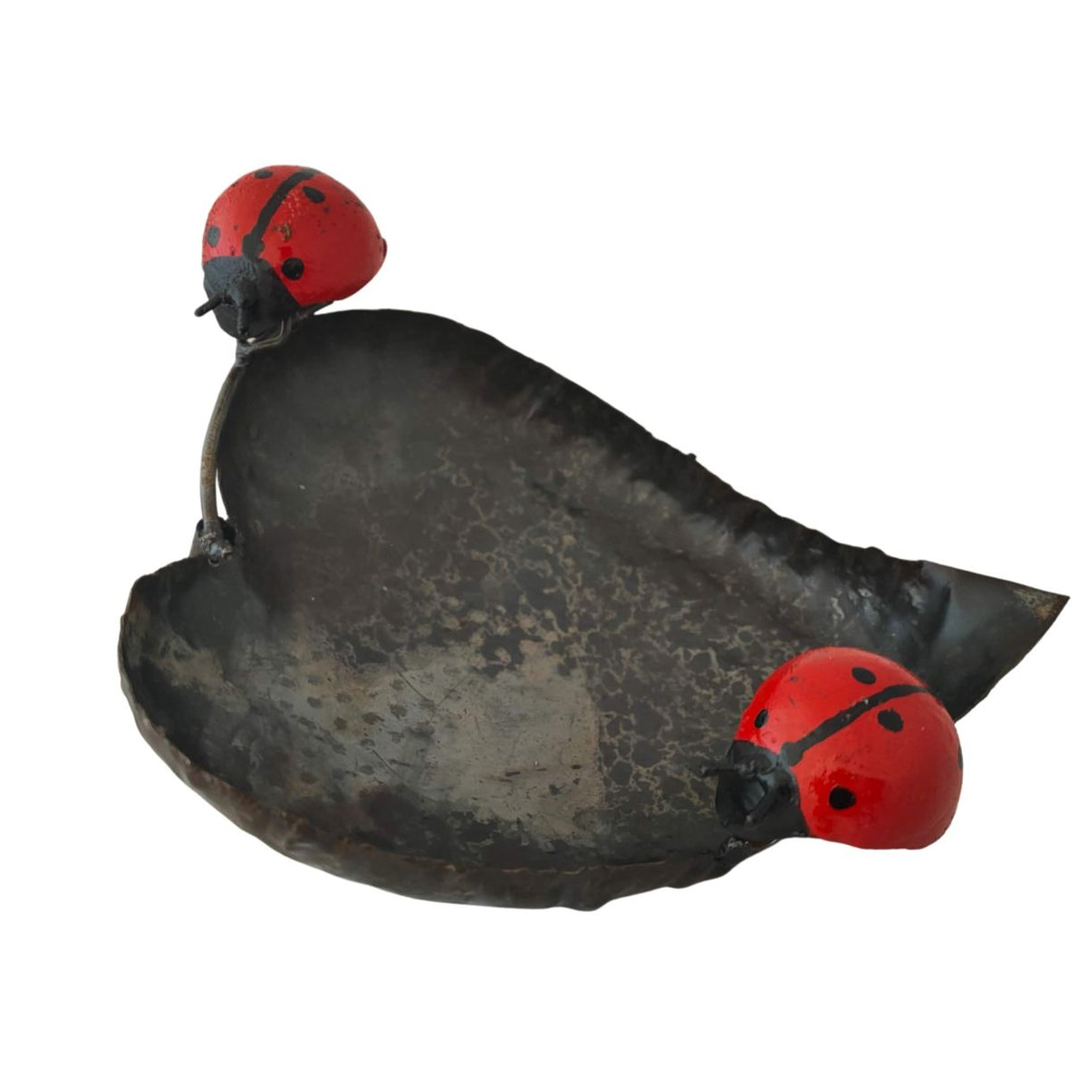 tuteur feuille 2 coccinelles