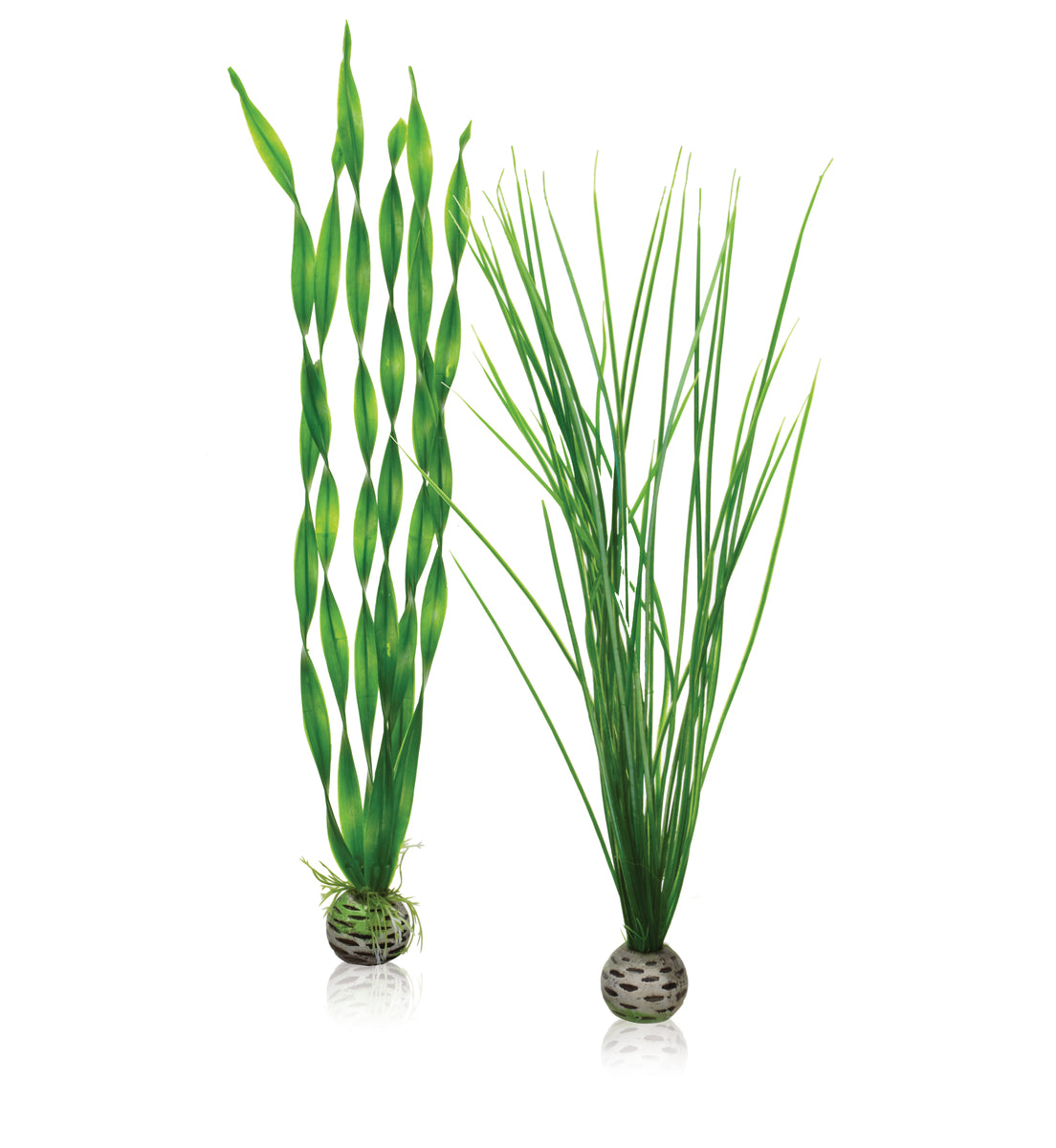Lot de plantes biOrb L vertes — biOrb plantenset L groen