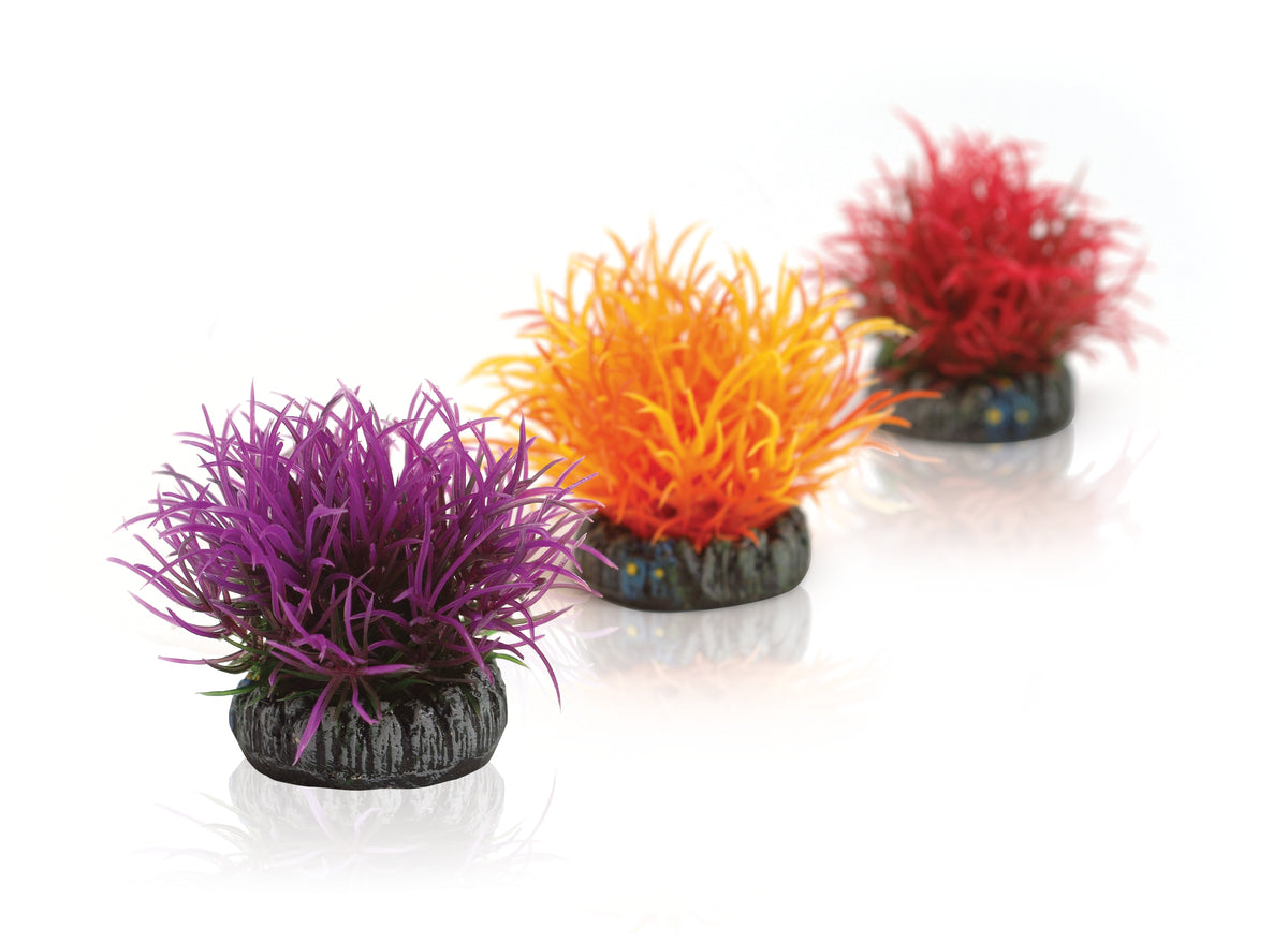 Lot de 3 boules décoratives biOrb — biOrb decobal Set 3