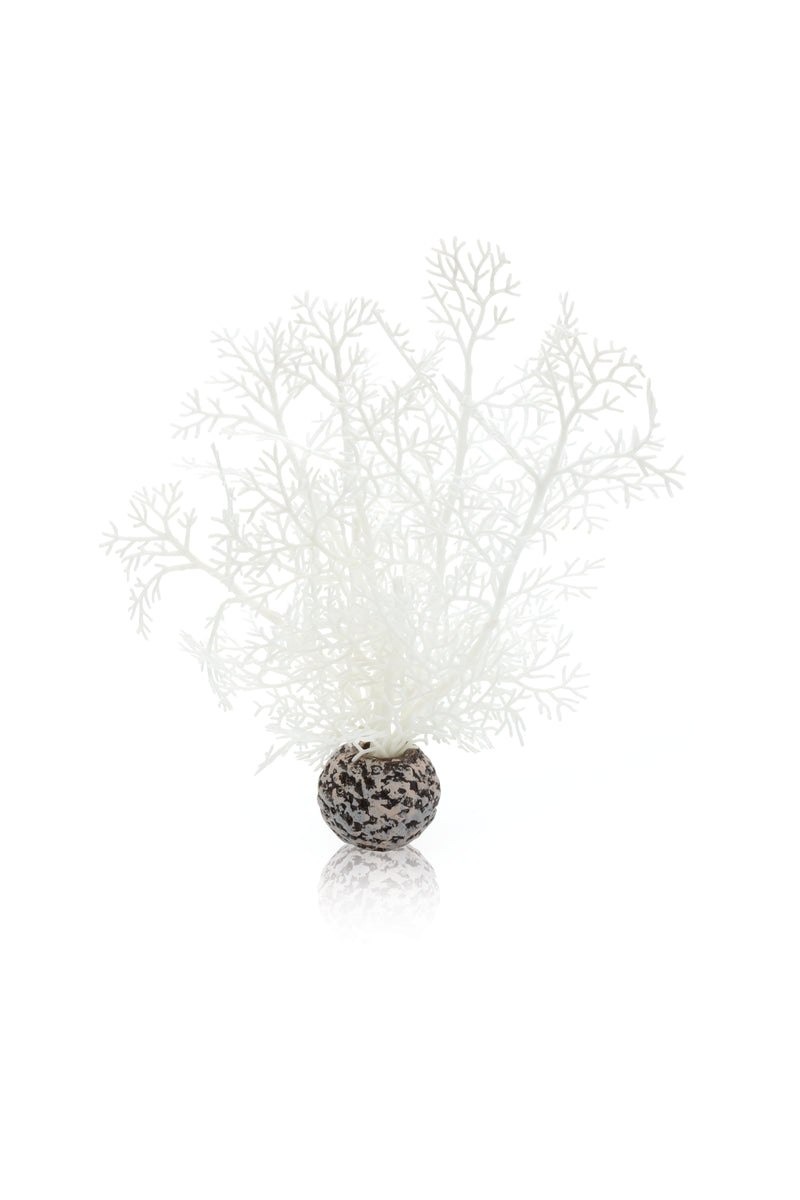 Corail décoratif biOrb S blanc — biOrb hoornkoraal S wit