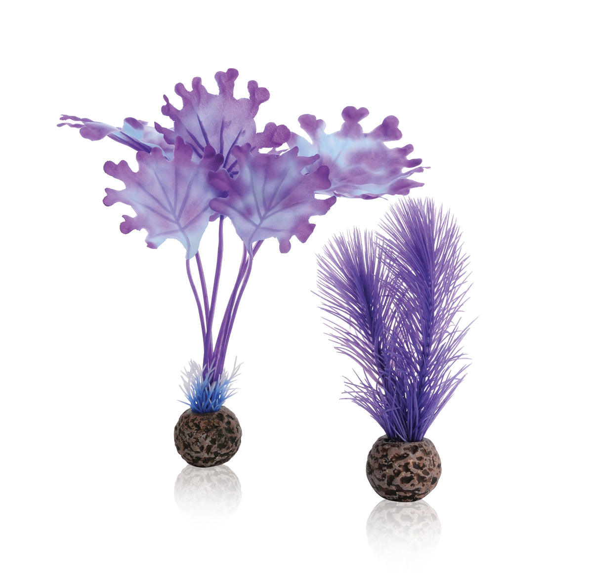 Lot d’algues décoratives biOrb S violettes — biOrb zeewier set S paars