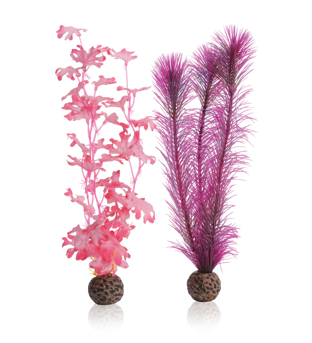 Lot d’algues décoratives biOrb M roses — biOrb zeewier set M roze