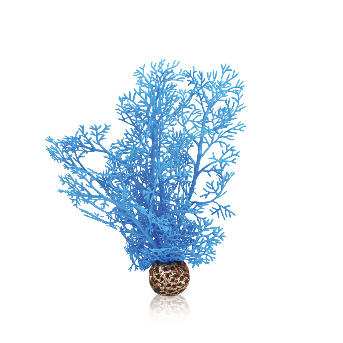 Corail décoratif biOrb S bleu — biOrb hoornkoraal S blauw