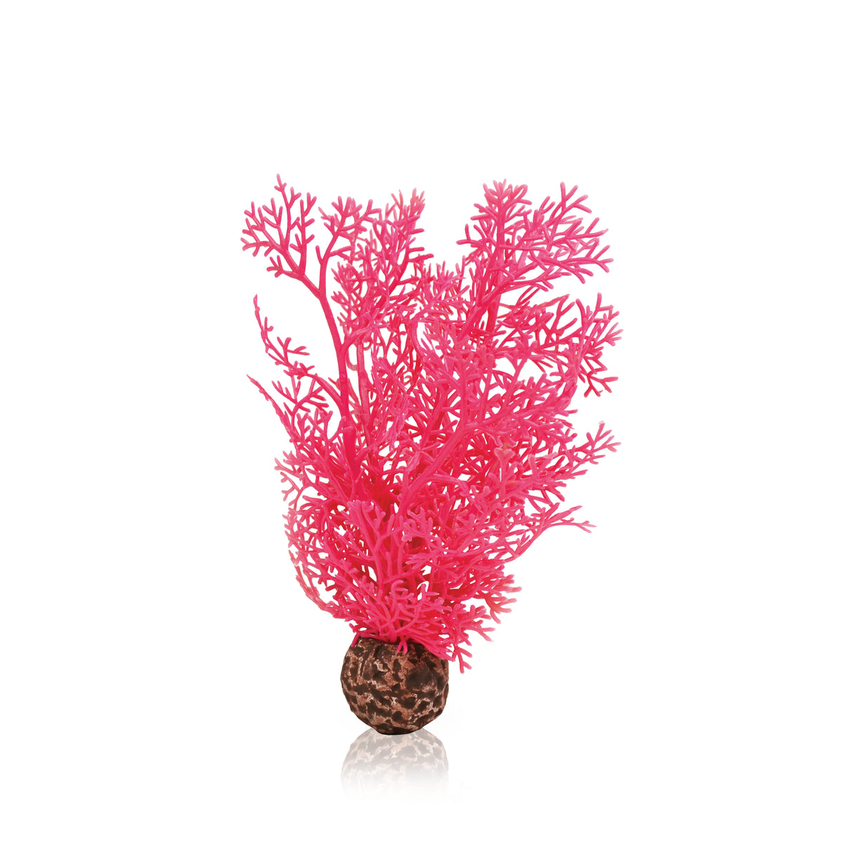 Corail décoratif biOrb S rose — biOrb hoornkoraal S roze