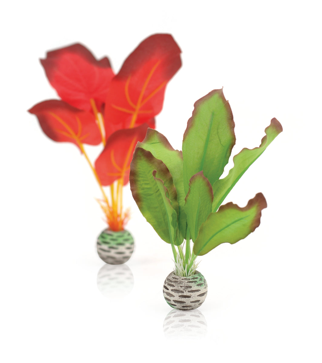 Lot de plantes en soie biOrb S verte et rouge — biOrb zijden plantenset S groen & rood