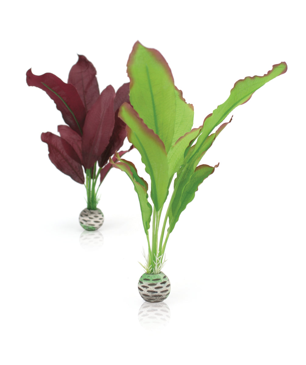 Lot de plantes en soie biOrb M verte et violette — biOrb zijdenplantenset M groen & paar