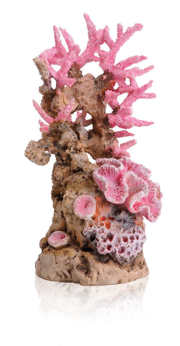 Ornement récif corallien biOrb rose — biOrb koraalrif ornament roze