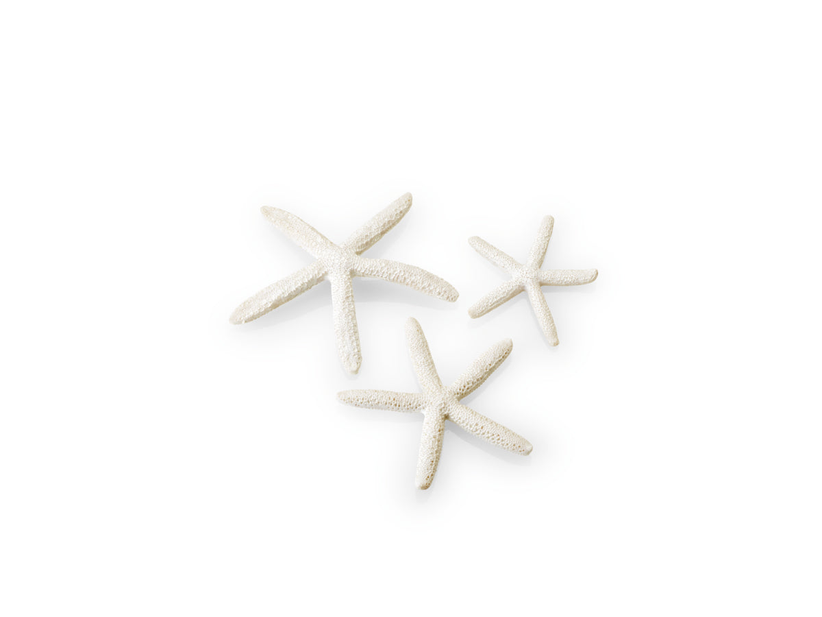 Lot de 3 étoiles de mer biOrb blanches — biOrb zeester set 3 wit