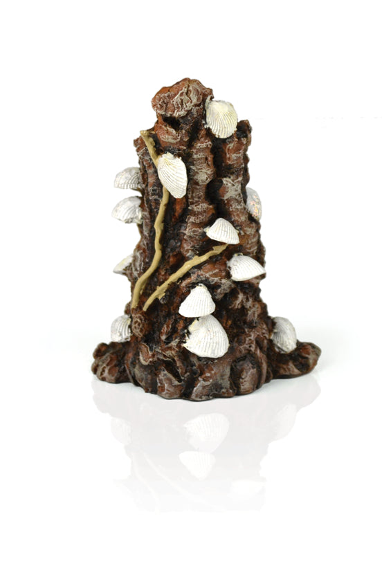 Ornement coquillage sur écorce biOrb blanc — biOrb schelp op schors ornament wit