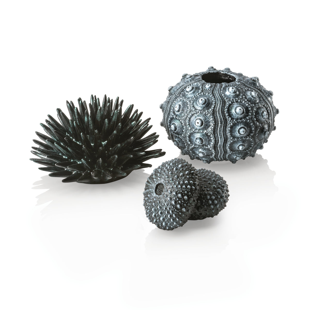 Lot d’oursins décoratifs biOrb noirs — biOrb zee-egel set zwart