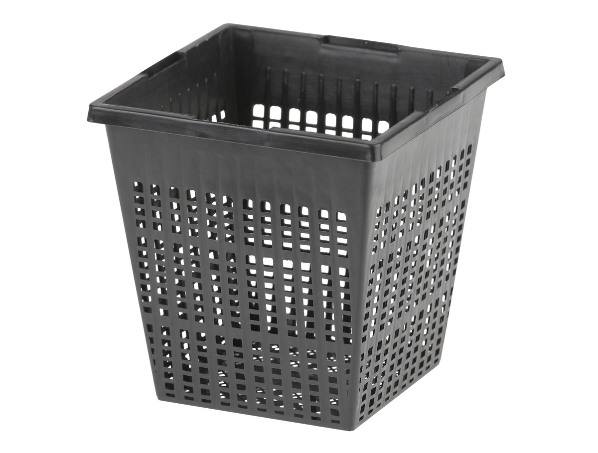 Panier de plantation carré 11 cm — Plantmand vierkant 11