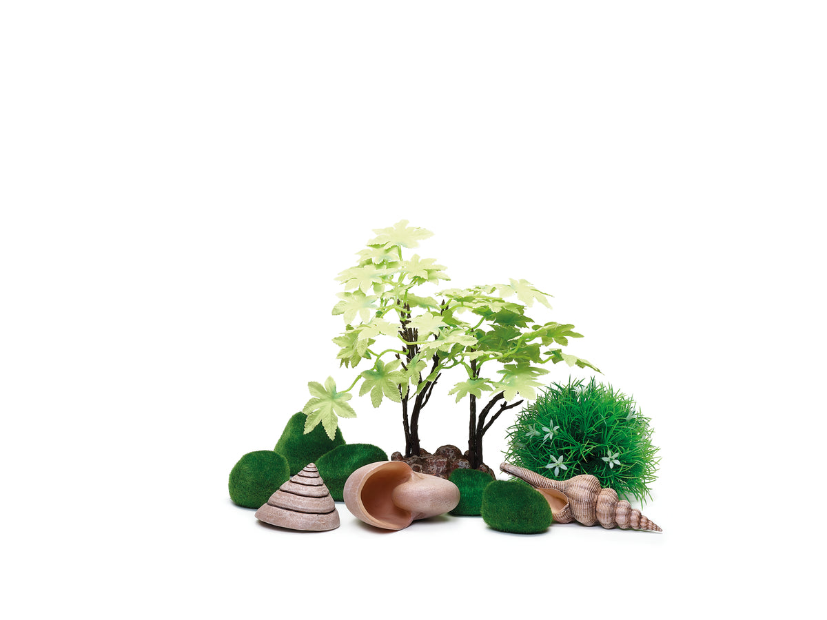 Kit de décoration biOrb 15 l Été — biOrb Decor Set 15L Zomer