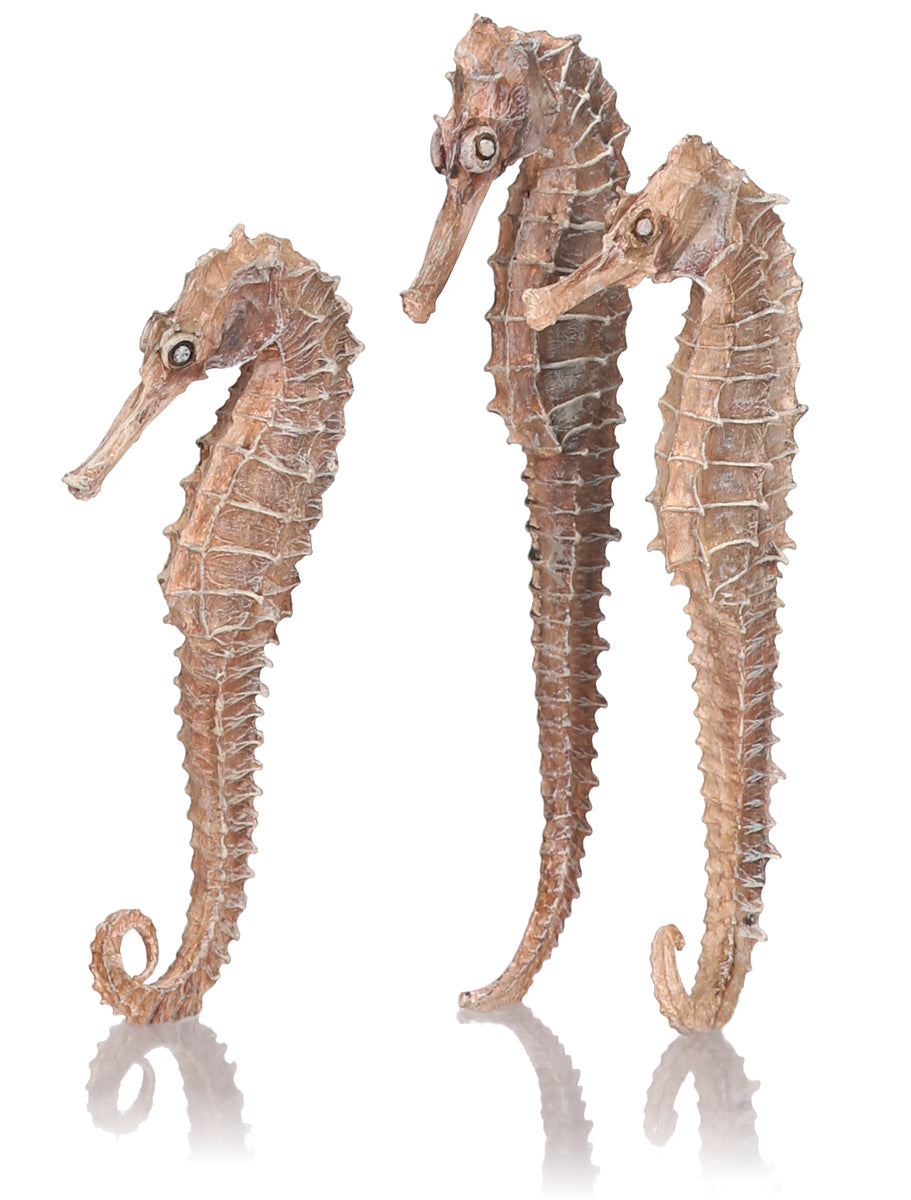Lot de 3 hippocampes biOrb teinte naturelle — biOrb zeepaard set 3, naturel