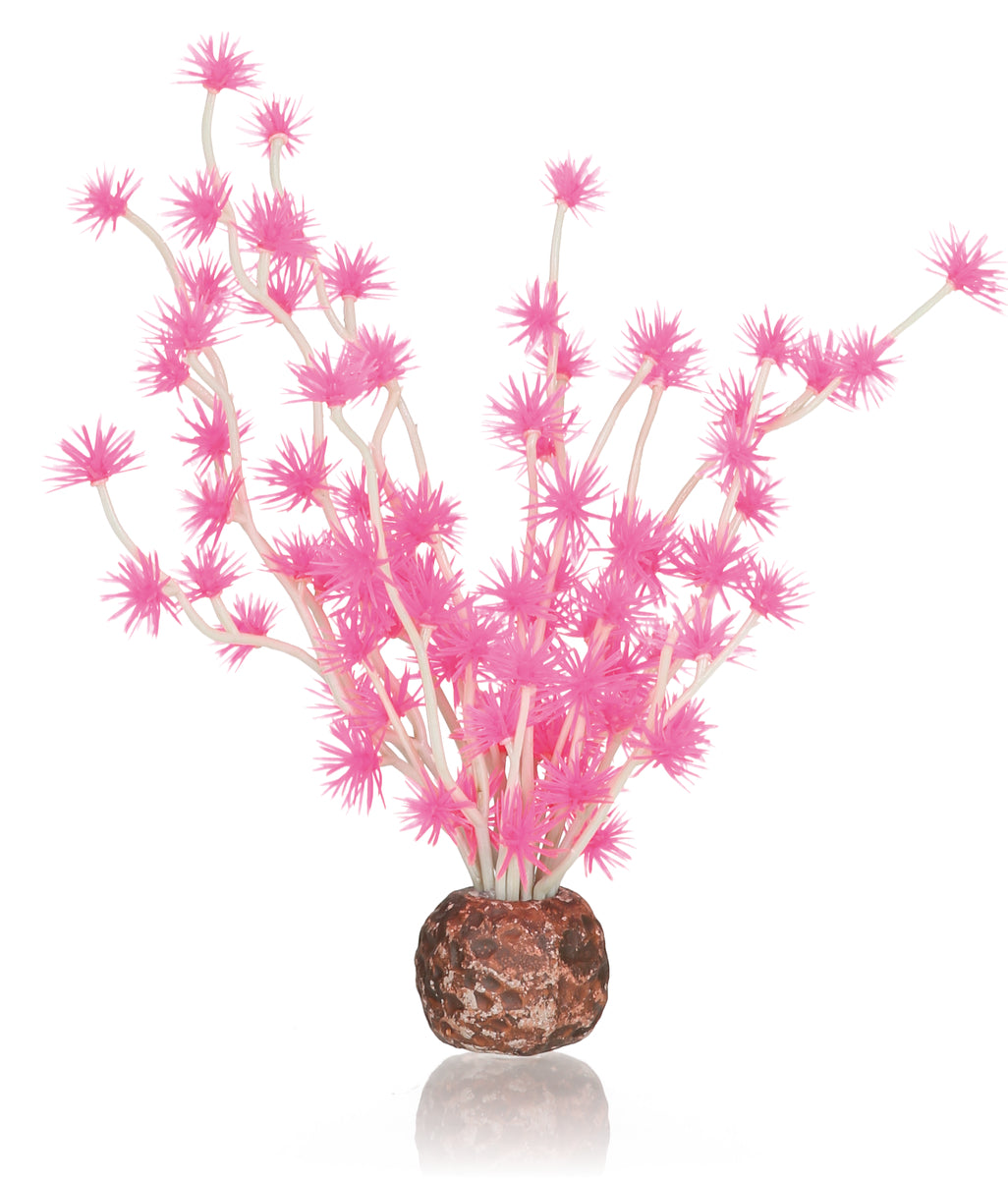 Boule bonsaï biOrb rose — biOrb Bonsai bal roze