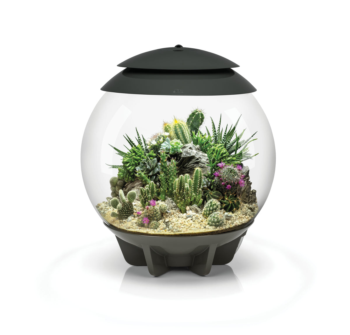 Terrarium biOrb AIR 30 gris — biOrb AIR 30 grijs