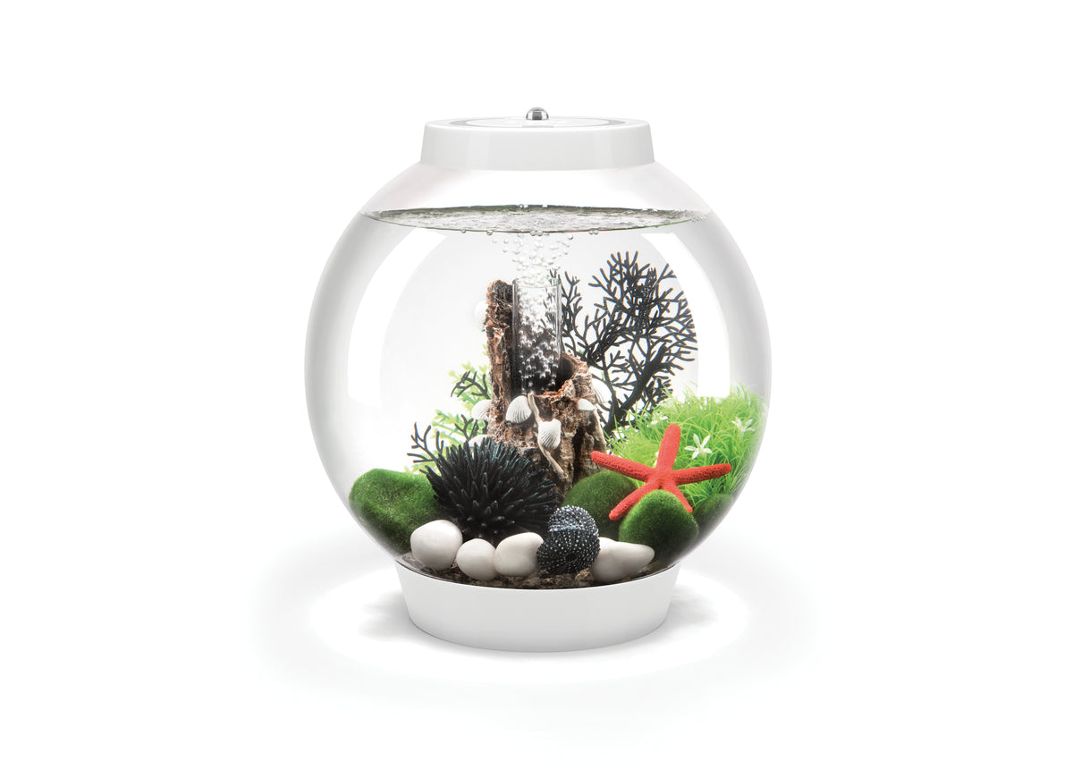 Aquarium biOrb CLASSIC 15 LED blanc — biOrb CLASSIC 15 LED wit