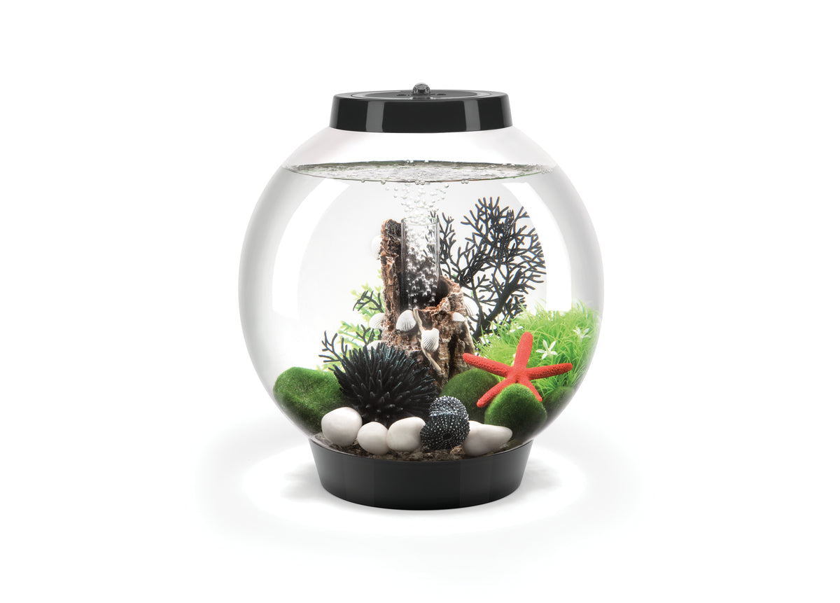 Aquarium biOrb CLASSIC 15 MCR noir — biOrb CLASSIC 15 MCR zwart