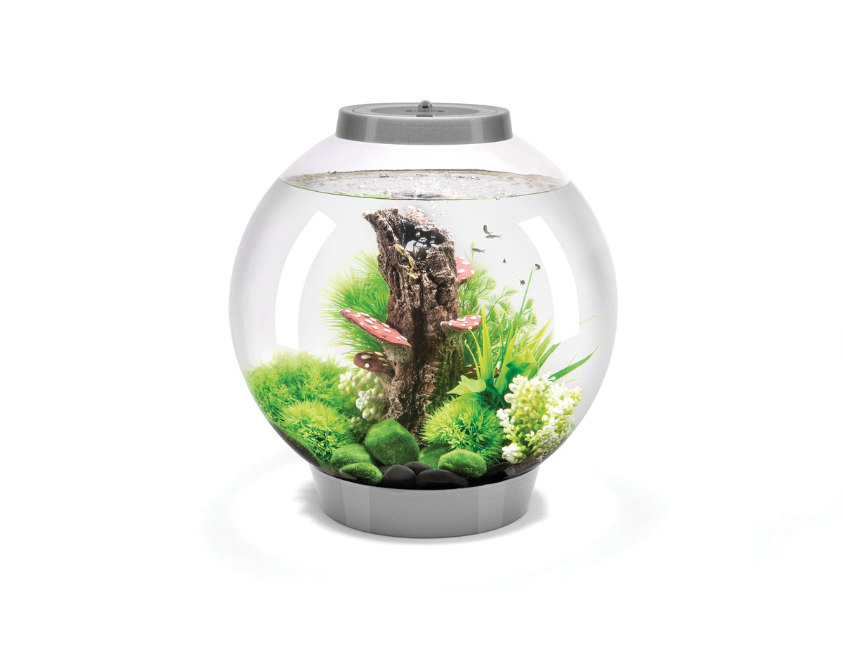 Aquarium biOrb CLASSIC 30 LED argenté — biOrb CLASSIC 30 LED zilver